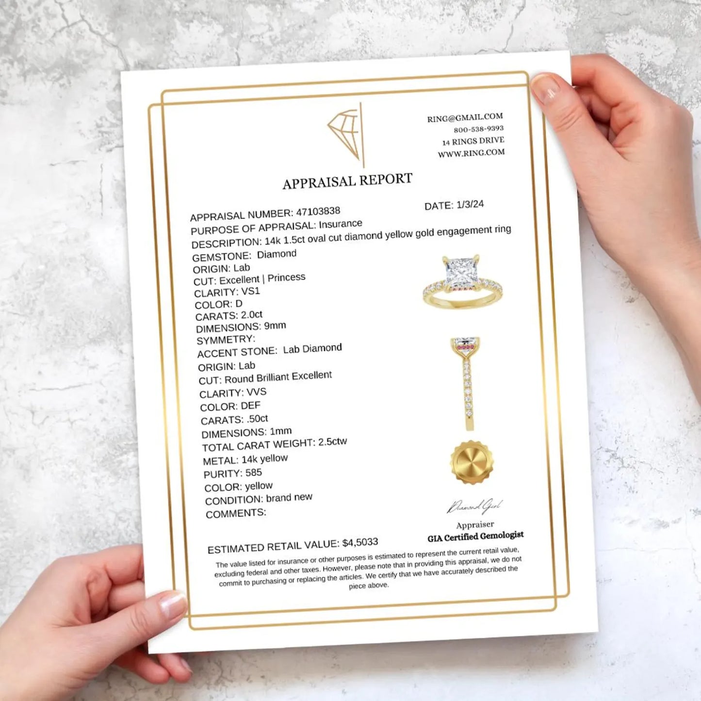 Professional Jewelry Appraisal Report Template With Border | Instant Download