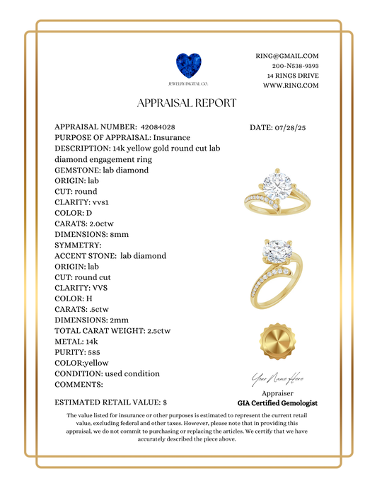 Professional Jewelry Appraisal Report Template With Border | Instant Download