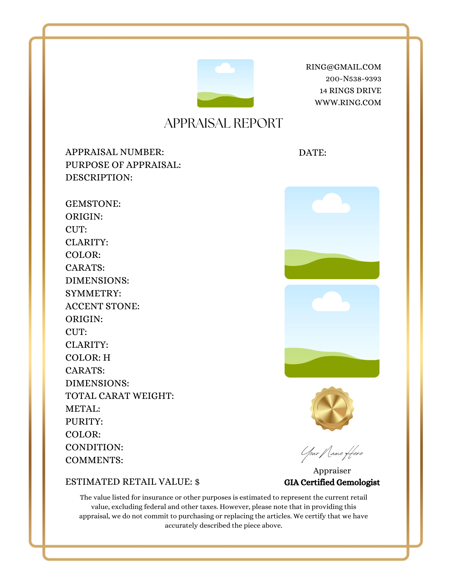 professional jewelry appraisal template with border gold
