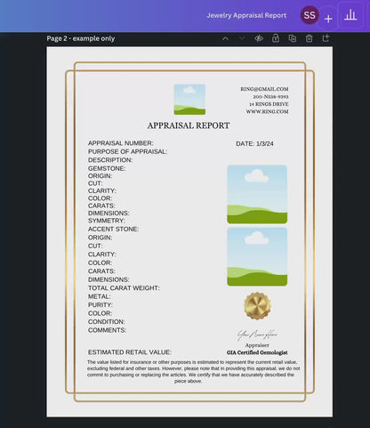Professional Jewelry Appraisal Report Template With Border | Instant Download